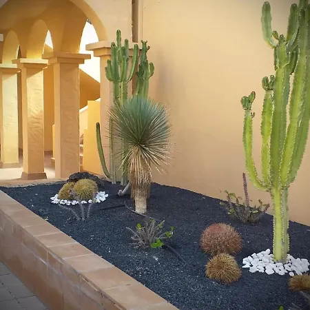 Caracol Apartment Corralejo